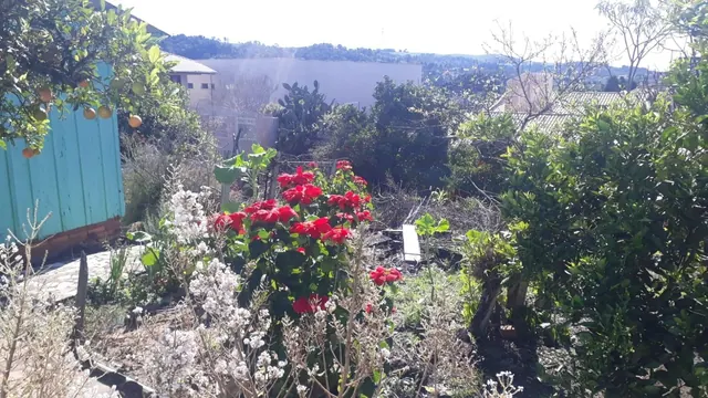 Terreno de 702 m² com casa de madeira no Centro à venda em Irati, foto 2